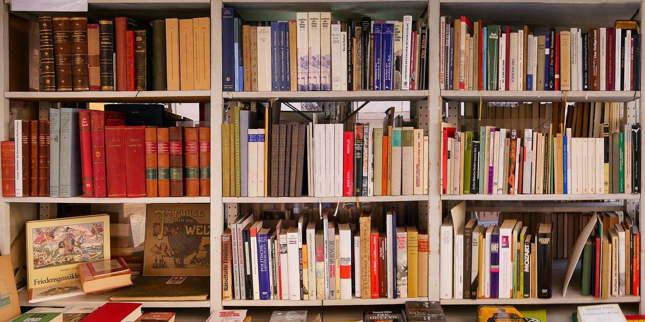 Books lining a large bookshelf